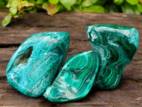 Polished Malacolla Free Forms x 6 From Kulukuluku, Congo