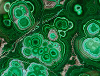 Polished Malacolla Free Forms x 6 From Kulukuluku, Congo