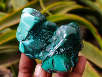 Polished Malacolla Free Forms x 6 From Kulukuluku, Congo