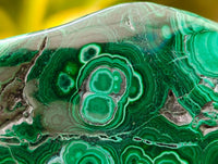 Polished Malacolla Free Forms x 6 From Kulukuluku, Congo