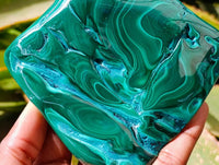 Polished Malacolla Free Forms x 6 From Kulukuluku, Congo