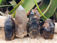 Natural Marion Smokey Quartz Crystals with Aegirine x 4 From Zomba, Malawi
