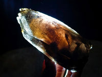 Natural Marion Smokey Quartz Crystals with Aegirine x 4 From Zomba, Malawi