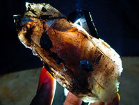 Natural Marion Smokey Quartz Crystals with Aegirine x 4 From Zomba, Malawi