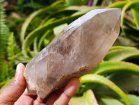 Natural Marion Smokey Quartz Crystals with Aegirine x 4 From Zomba, Malawi