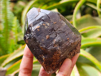 Natural Marion Smokey Quartz Crystals with Aegirine x 4 From Zomba, Malawi
