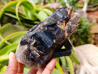 Natural Marion Smokey Quartz Crystals with Aegirine x 4 From Zomba, Malawi