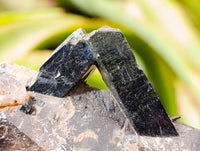 Natural Marion Smokey Quartz Crystals with Aegirine x 4 From Zomba, Malawi