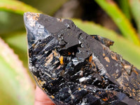 Natural Marion Smokey Quartz Crystals with Aegirine x 4 From Zomba, Malawi