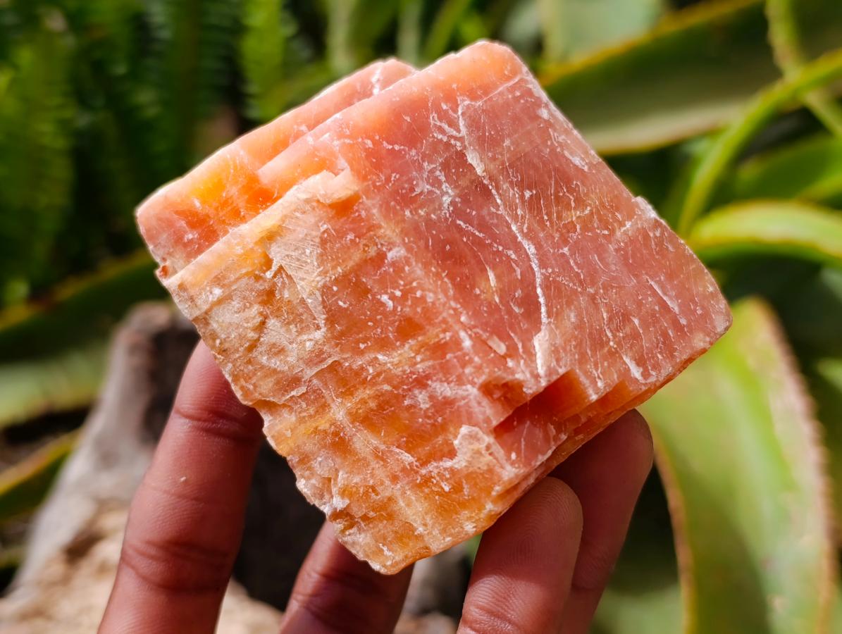 Natural Sunset Orange Calcite Specimens x 12 From Spitzkop, Namibia