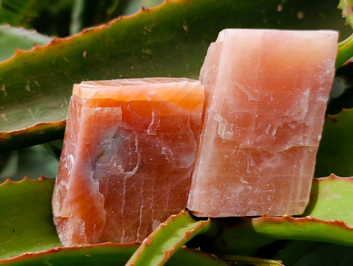 Natural Sunset Orange Calcite Specimens x 12 From Spitzkop, Namibia