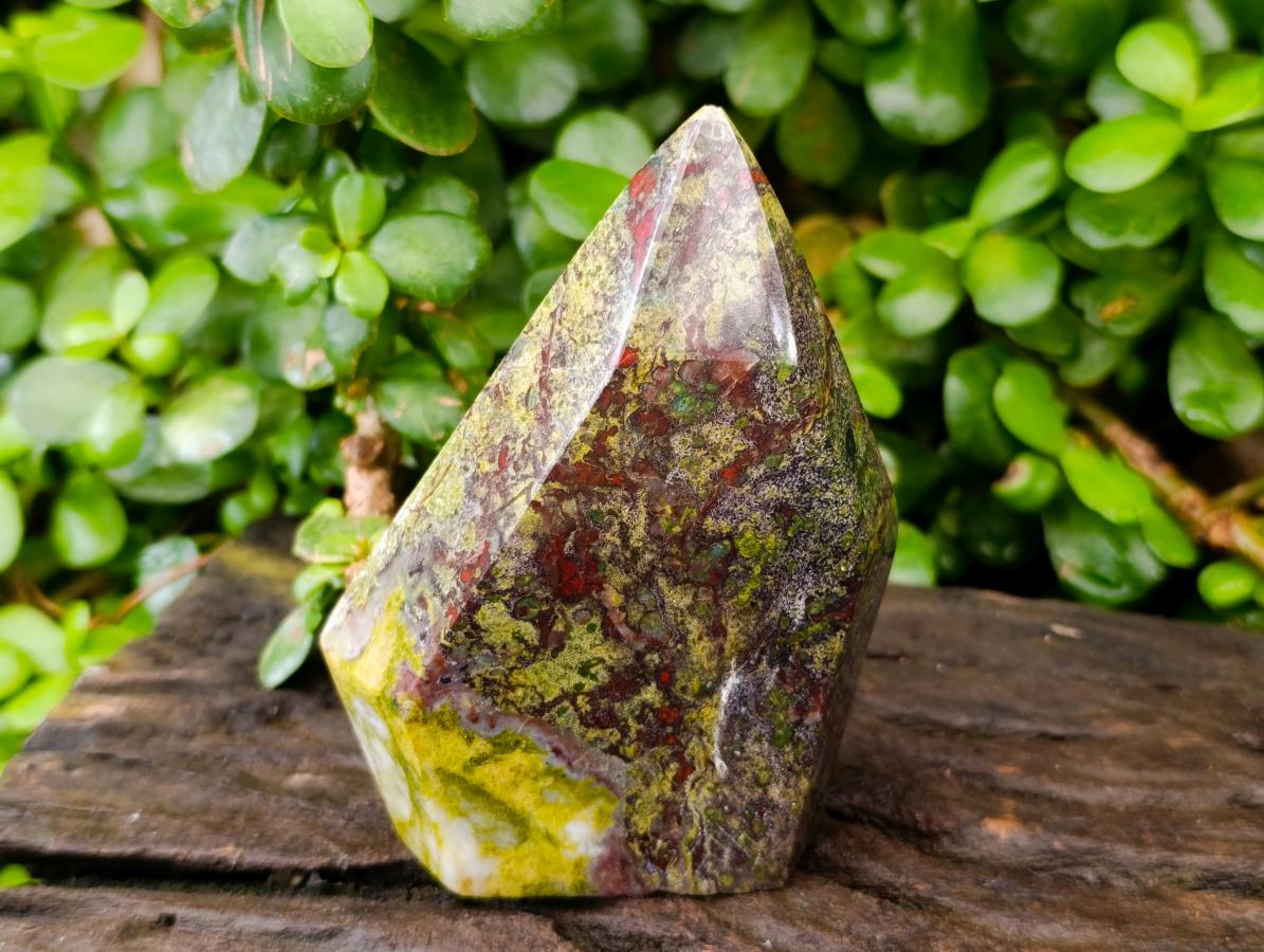 Polished Bastite Dragonsblood Stone Display Crystals x 2 From Tshipise, South Africa