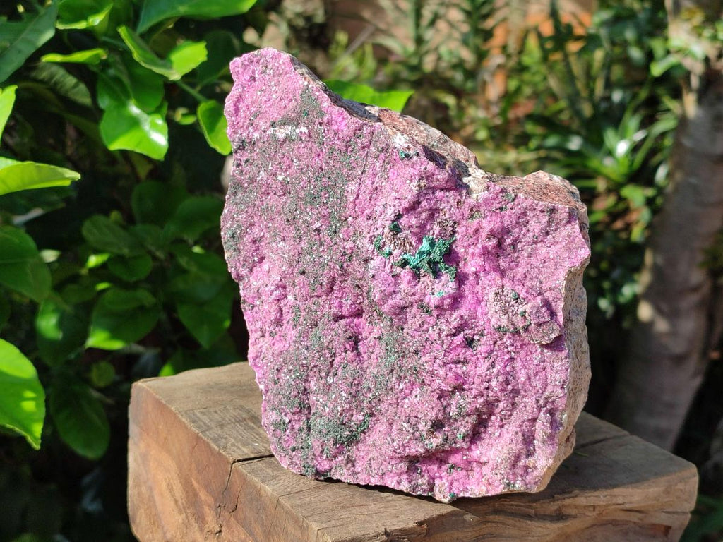 Natural Salrose Cobaltion Dolomite Specimen with Malachite x 1 From Kakanda, Congo