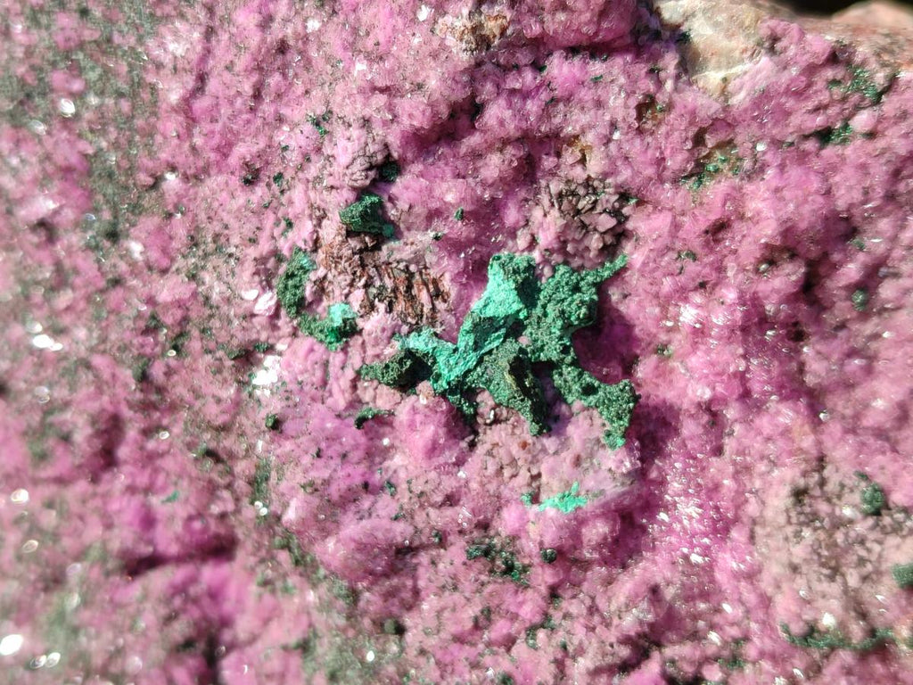 Natural Salrose Cobaltion Dolomite Specimen with Malachite x 1 From Kakanda, Congo