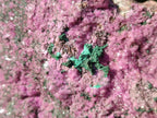 Natural Salrose Cobaltion Dolomite Specimen with Malachite x 1 From Kakanda, Congo