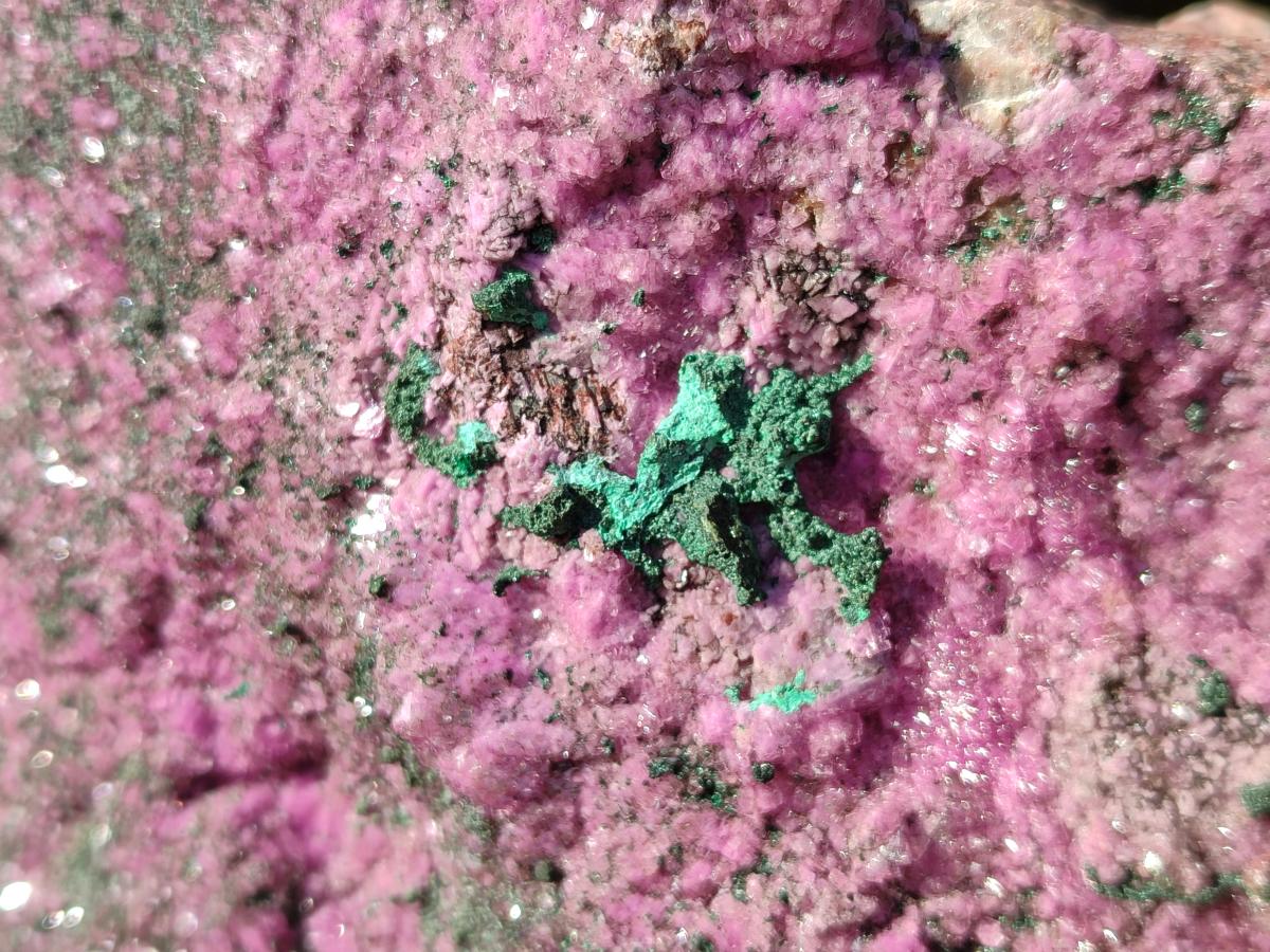 Natural Salrose Cobaltion Dolomite Specimen with Malachite x 1 From Kakanda, Congo