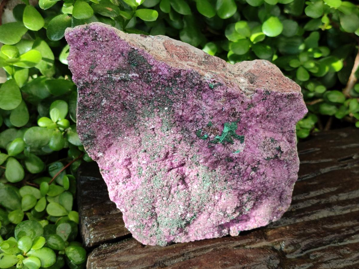 Natural Salrose Cobaltion Dolomite Specimen with Malachite x 1 From Kakanda, Congo