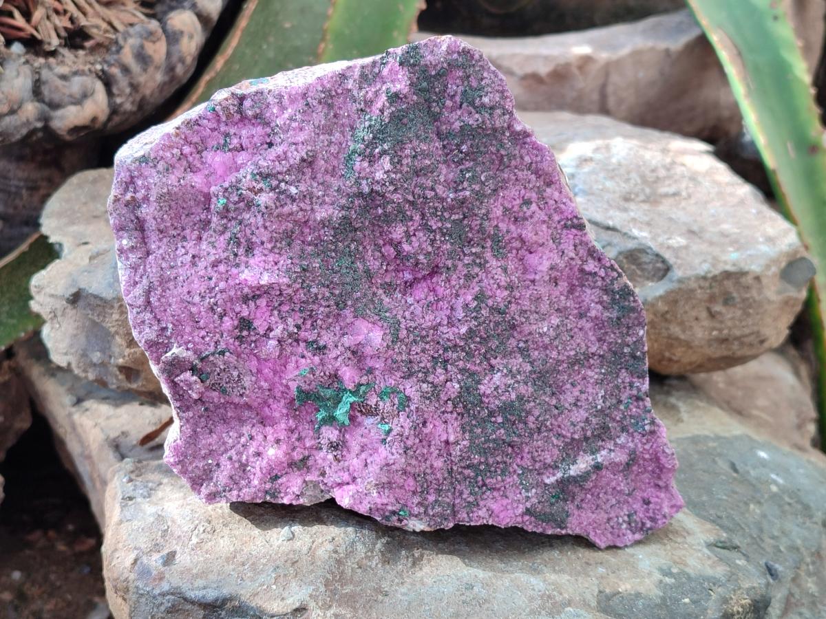 Natural Salrose Cobaltion Dolomite Specimen with Malachite x 1 From Kakanda, Congo