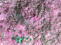 Natural Salrose Cobaltion Dolomite Specimen with Malachite x 1 From Kakanda, Congo