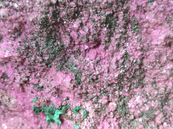 Natural Salrose Cobaltion Dolomite Specimen with Malachite x 1 From Kakanda, Congo