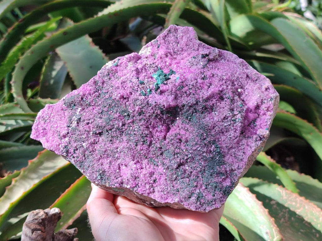 Natural Salrose Cobaltion Dolomite Specimen with Malachite x 1 From Kakanda, Congo