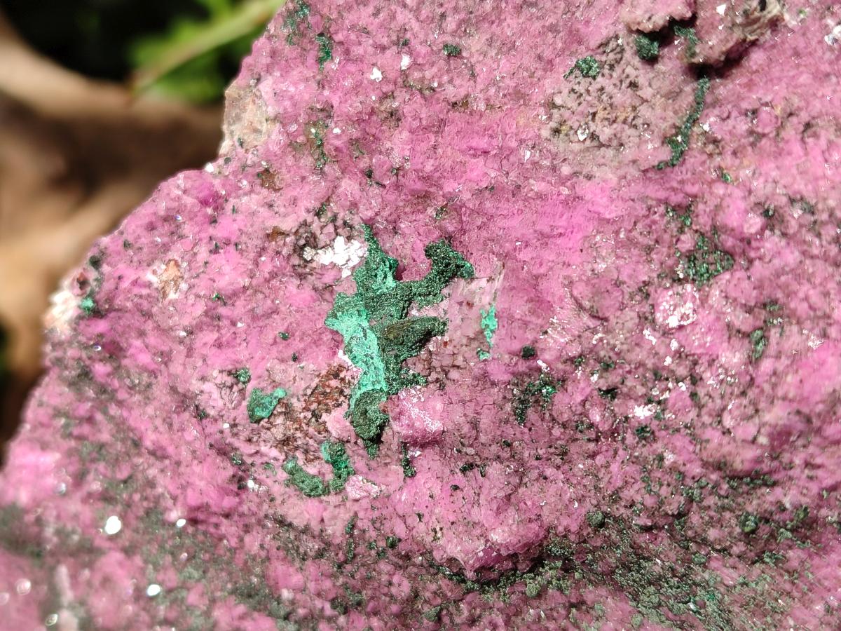 Natural Salrose Cobaltion Dolomite Specimen with Malachite x 1 From Kakanda, Congo