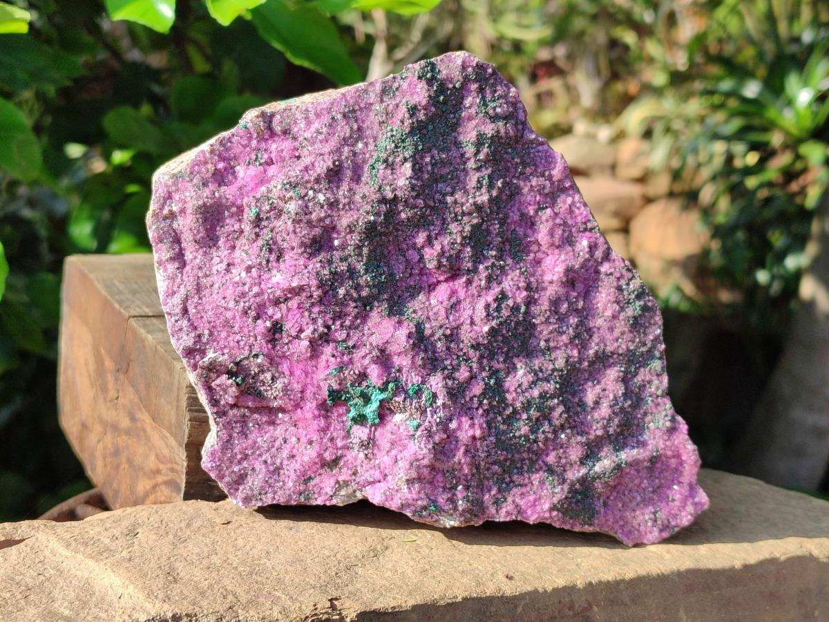 Natural Salrose Cobaltion Dolomite Specimen with Malachite x 1 From Kakanda, Congo