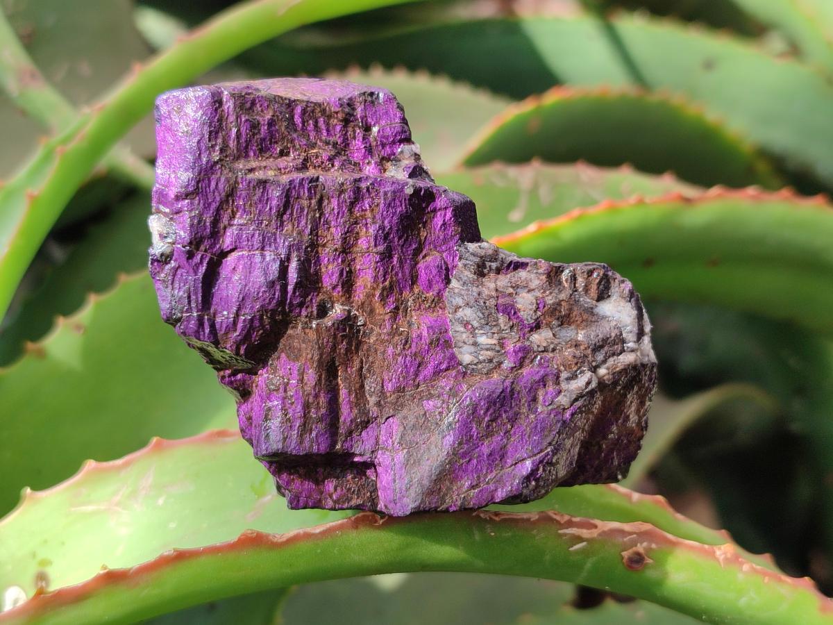 Natural Metallic Cobbed Purpurite Specimens x 6 From Erongo, Namibia