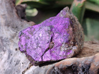 Natural Metallic Cobbed Purpurite Specimens x 6 From Erongo, Namibia