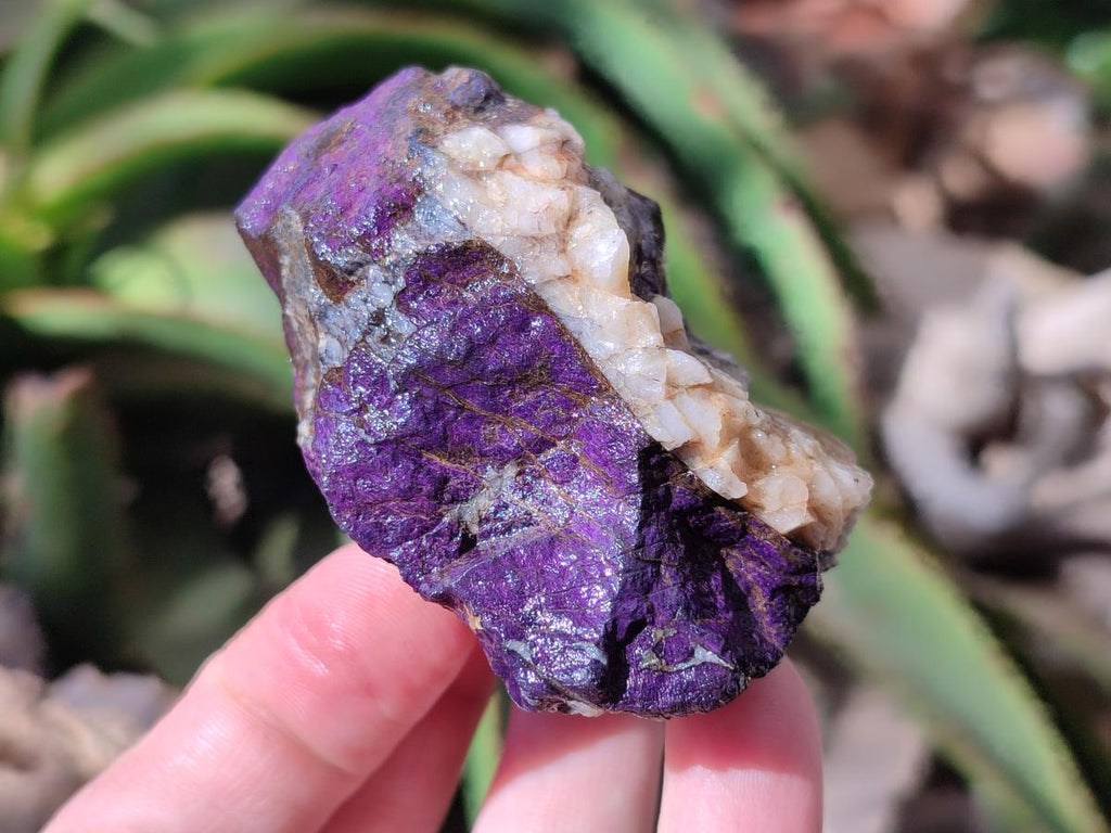 Natural Metallic Cobbed Purpurite Specimens x 6 From Erongo, Namibia