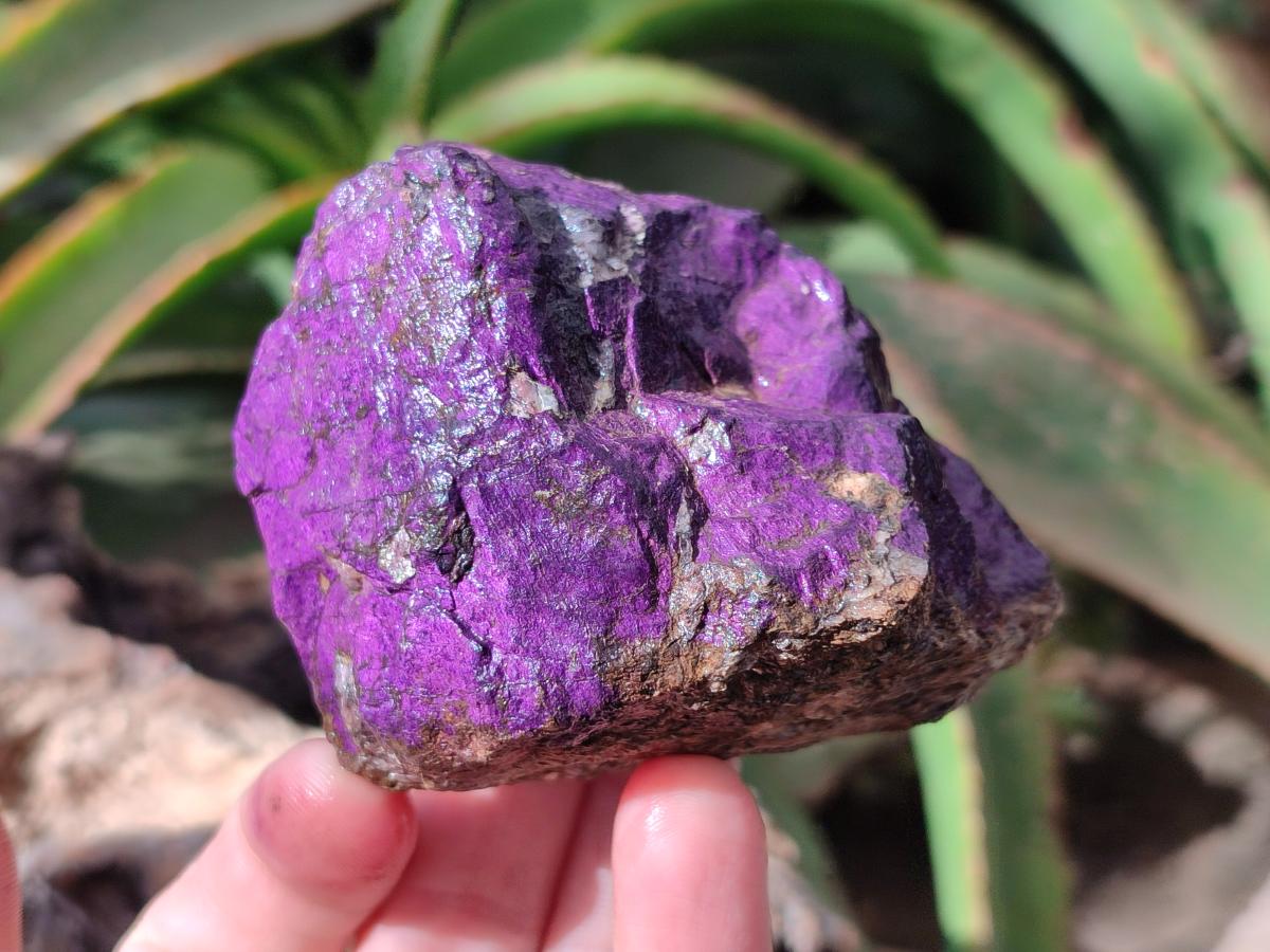 Natural Metallic Cobbed Purpurite Specimens x 6 From Erongo, Namibia