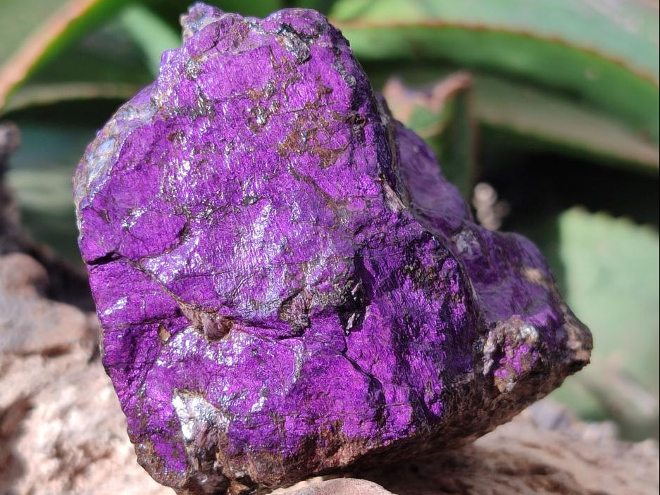 Natural Metallic Cobbed Purpurite Specimens x 6 From Erongo, Namibia