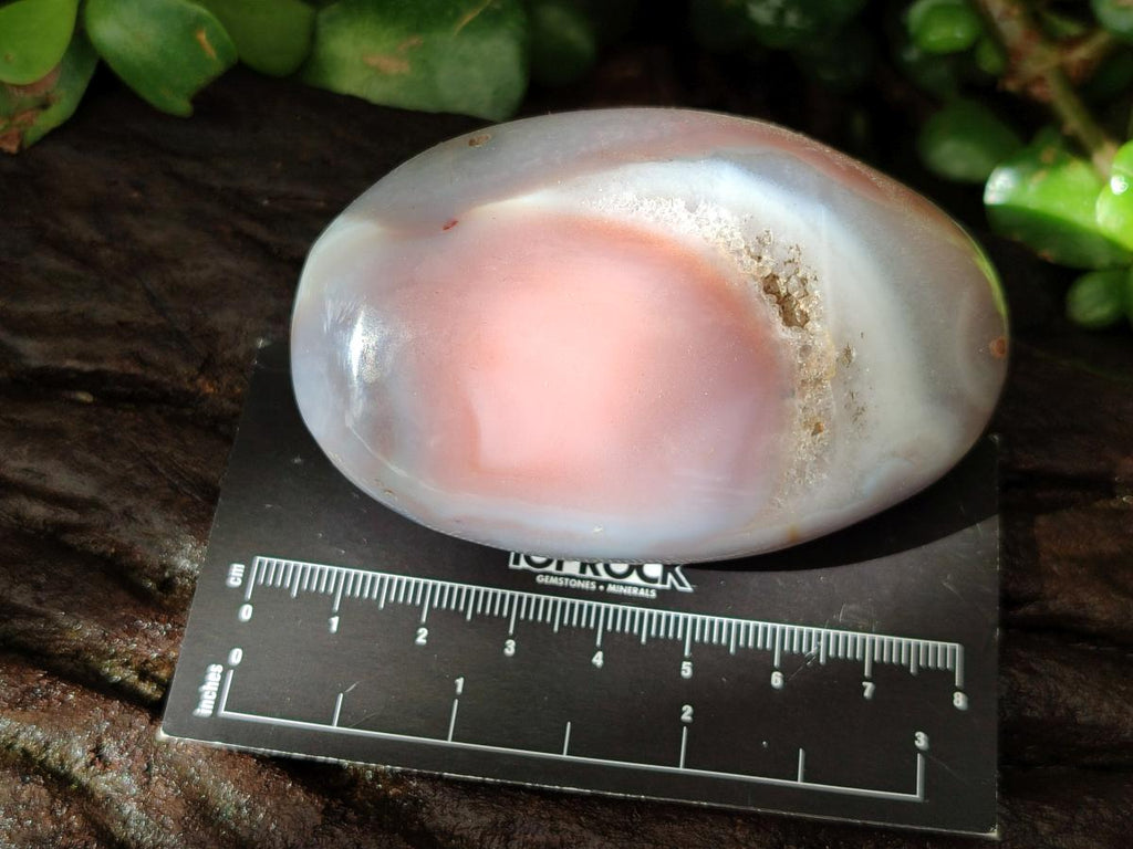 Polished Pink Shashe River Agate Galets x 9 From Shashe River, Zimbabwe - Toprock Gemstones and Minerals 