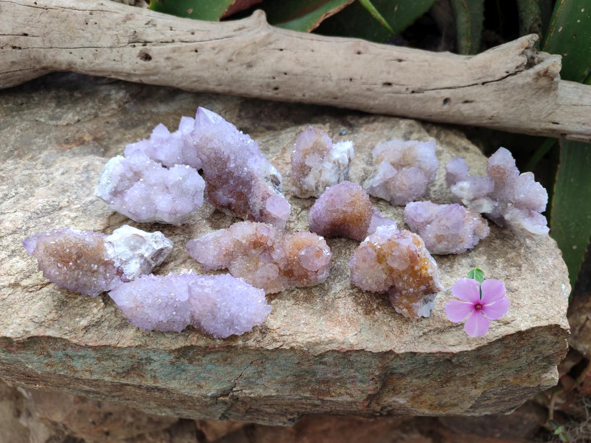 Natural Spirit Amethyst and Ametrine Crystal Clusters x 12 From Boekenhouthoek, South Africa