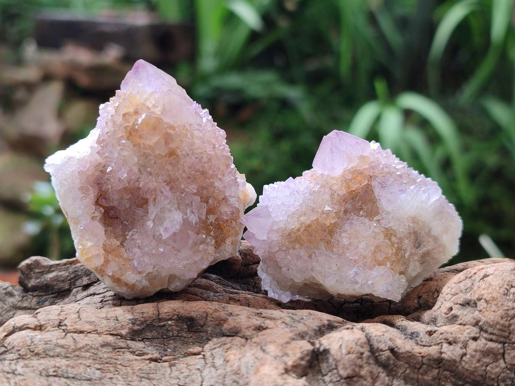Natural Spirit Amethyst and Ametrine Crystal Clusters x 12 From Boekenhouthoek, South Africa