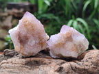 Natural Spirit Amethyst and Ametrine Crystal Clusters x 12 From Boekenhouthoek, South Africa