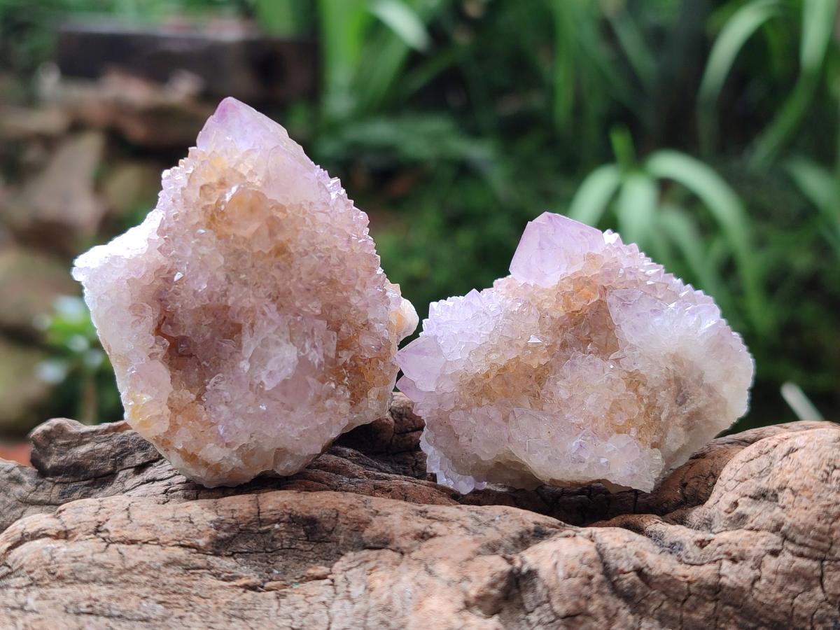 Natural Spirit Amethyst and Ametrine Crystal Clusters x 12 From Boekenhouthoek, South Africa