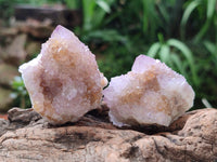 Natural Spirit Amethyst and Ametrine Crystal Clusters x 12 From Boekenhouthoek, South Africa
