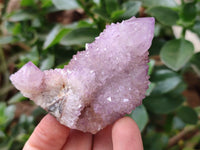 Natural Spirit Amethyst and Ametrine Crystal Clusters x 12 From Boekenhouthoek, South Africa