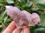 Natural Spirit Amethyst and Ametrine Crystal Clusters x 12 From Boekenhouthoek, South Africa