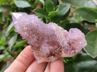 Natural Spirit Amethyst and Ametrine Crystal Clusters x 12 From Boekenhouthoek, South Africa