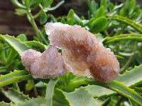 Natural Spirit Amethyst and Ametrine Crystal Clusters x 12 From Boekenhouthoek, South Africa