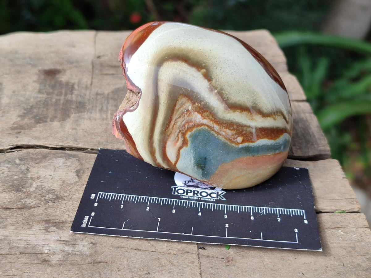 Polished On One Side Polychrome Jasper Nodules x 6 From NW Coast, Madagascar