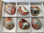 Polished On One Side Polychrome Jasper Nodules x 6 From NW Coast, Madagascar