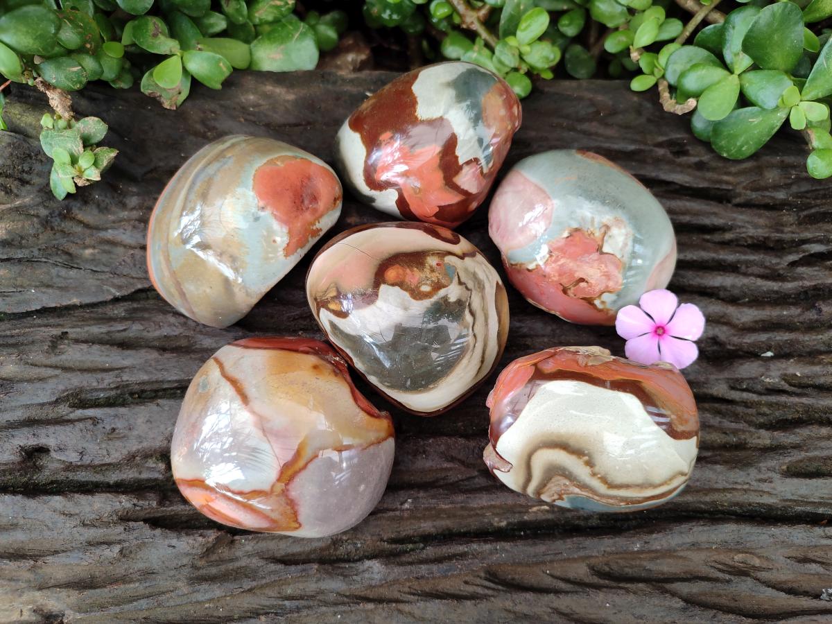 Polished On One Side Polychrome Jasper Nodules x 6 From NW Coast, Madagascar