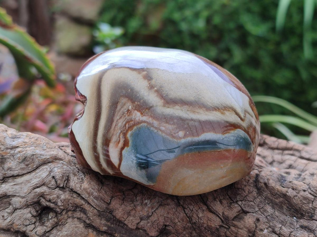 Polished On One Side Polychrome Jasper Nodules x 6 From NW Coast, Madagascar