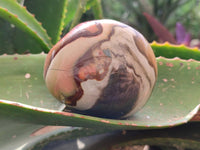 Polished On One Side Polychrome Jasper Nodules x 6 From NW Coast, Madagascar
