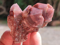 Natural Red Hematoid Quartz Crystals x 12 From Karoi, Zimbabwe