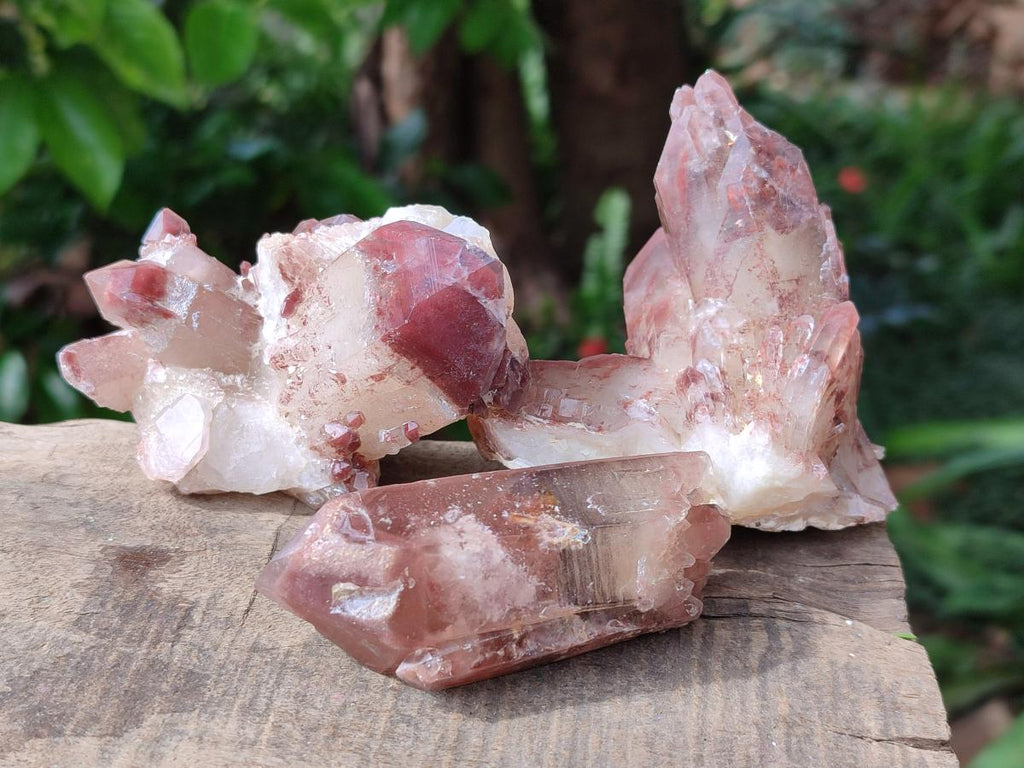 Natural Red Hematoid Quartz Crystals x 12 From Karoi, Zimbabwe