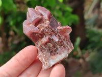 Natural Red Hematoid Quartz Crystals x 12 From Karoi, Zimbabwe